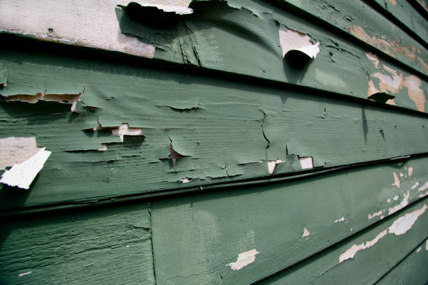 Trusted Dawsonville, GA Junk Removal Experts
